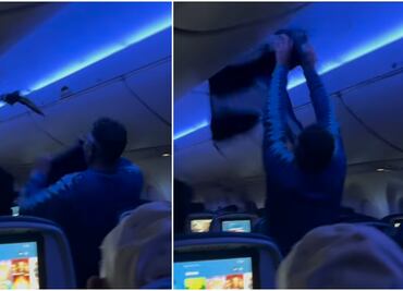 ¡Caos en el aire! Palomas invaden vuelo de Delta y obligan a abortar despegue