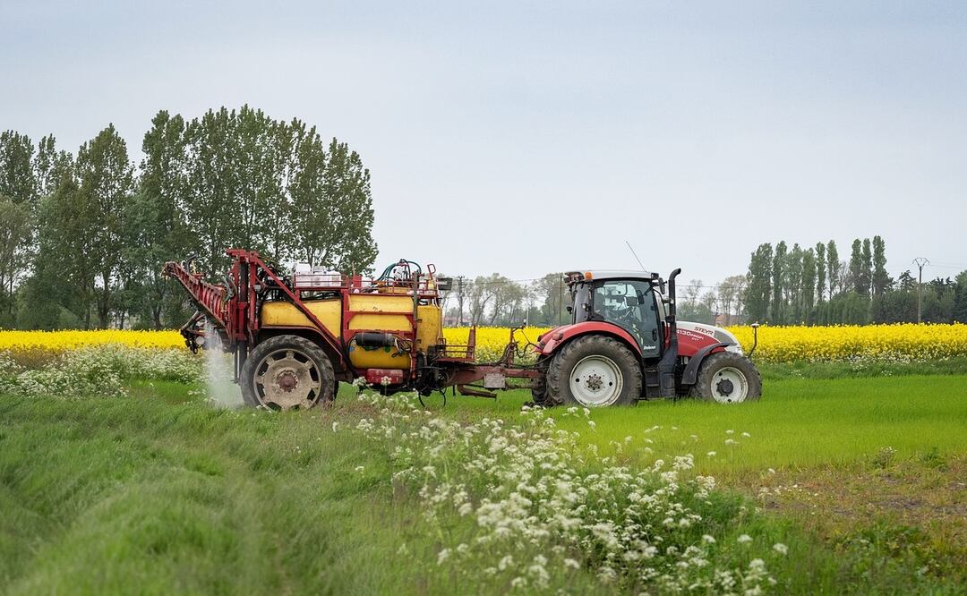 Foto: Pixabay/ dendoktoor