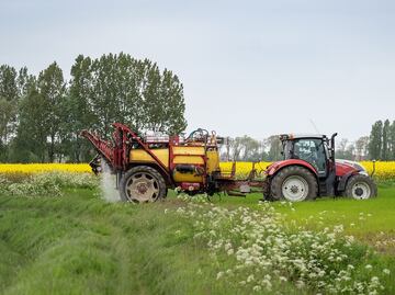 Buscan trabajadores agrícolas en rancho de Texas: Este es el salario y así puedes aplicar