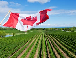 Inician contrataciones 2023 de trabajadores agrícolas mexicanos que van a Canadá