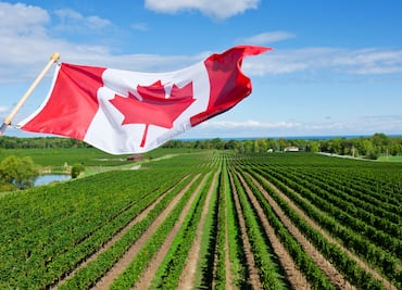 Inician contrataciones 2023 de trabajadores agrícolas mexicanos que van a Canadá