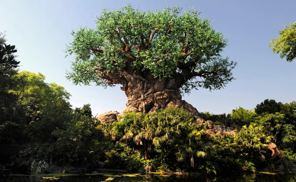 Walt Disney World Resort invitó a los visitantes a descubrir un parque temático para inspirarse con la magia del mundo natural. Foto: Cortesía Walt Disney World Resort