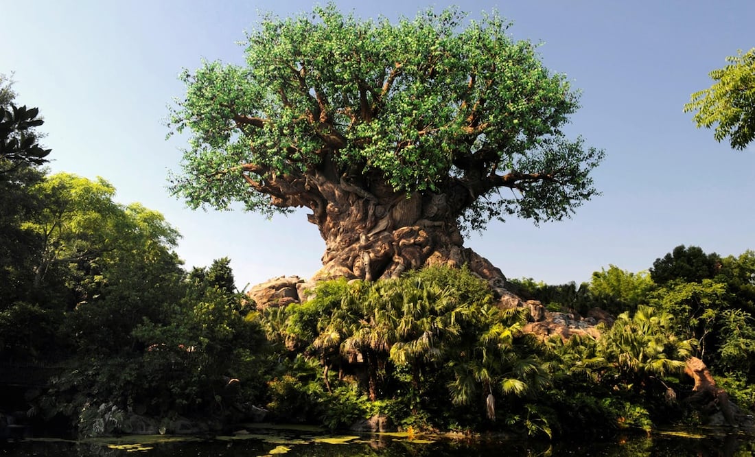 Foto: Cortesía Walt Disney World Resort