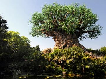 El parque Disney’s Animal Kingdom celebra 25 años resaltando la 'magia' de la naturaleza