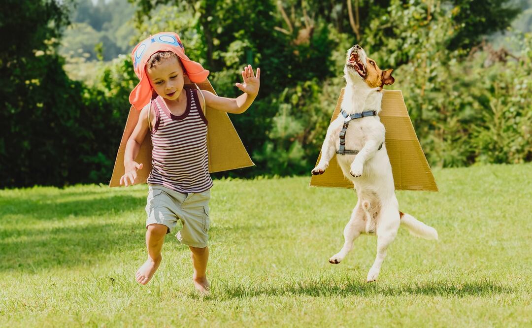 5 razas de perros ideales para niños pequeños, de acuerdo con expertos. Foto:  iStock-alexei_tm