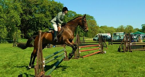 Trabajos para los amantes de los animales