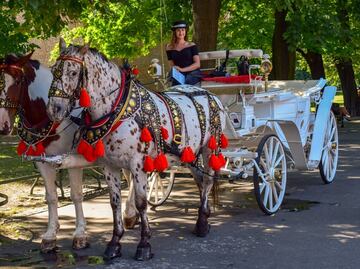 Central Park en carruaje, el plan más romántico para San Valentín
