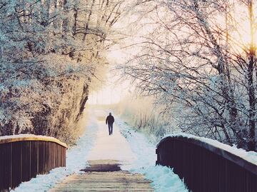 Visita el parque Voyageurs, un paraíso invernal en Minnesota