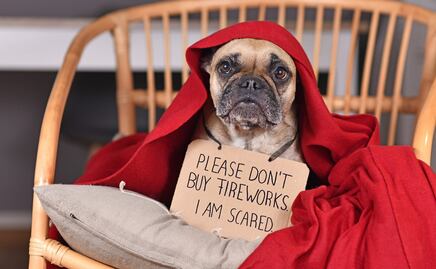 ¿Cómo proteger a los perritos del ruido de los fuegos artificiales? Esto dicen los expertos