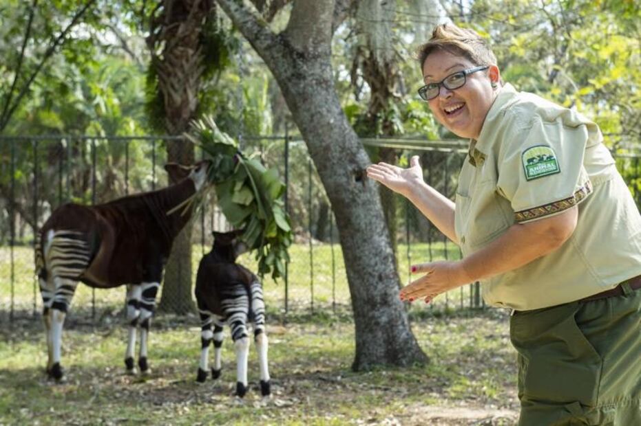 Día Mundial del Okapi: Mori, una cuidadora de animales que cumplió su sueño en Disney 