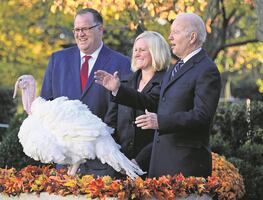 Así nació la tradición de perdonar a un pavo en Thanksgiving en EU