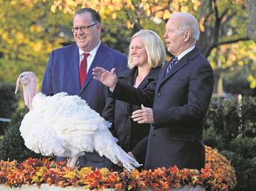 Así nació la tradición de perdonar a un pavo en Thanksgiving en EU