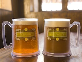 Parques Universal ya venden cerveza de mantequilla vegana de Harry Potter