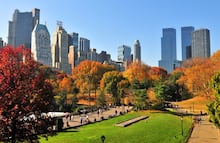 Otoño en la ciudad de Nueva York: Este es el secreto mejor guardado para turistas