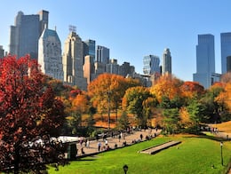 Otoño en la ciudad de Nueva York: Este es el secreto mejor guardado para turistas