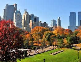 Otoño en la ciudad de Nueva York: Este es el secreto mejor guardado para turistas
