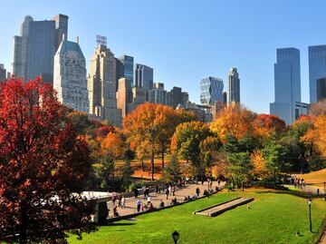 El mes más caro y más barato para viajar a Nueva York