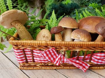 Consumir hongos podría ayudarte a prevenir el cáncer de próstata