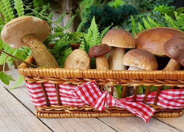 Consumir hongos podría ayudarte a prevenir el cáncer de próstata