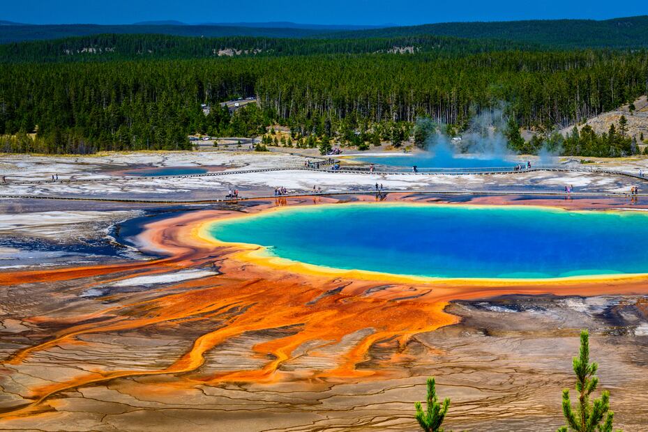 ¡Bellísimos! 7 parques nacionales de Estados Unidos que debes visitar al menos una vez en la vida. Foto: iSTOCK-tiny-al