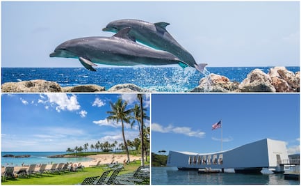 Las mejores experiencias de viaje de Estados Unidos en 2022, según TripAdvisor