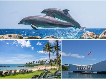 Las mejores experiencias de viaje de Estados Unidos en 2022, según TripAdvisor