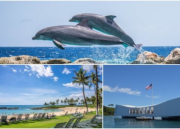 Las mejores experiencias de viaje de Estados Unidos en 2022, según TripAdvisor