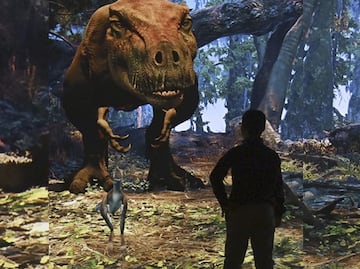 ¿Cuánto cuesta visitar el Museo Americano de Historia Natural?