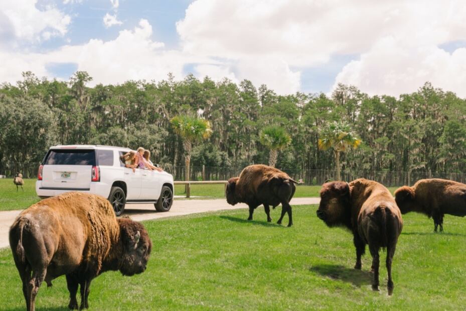 ¿Qué llega a Kissimmee para el 2021?
