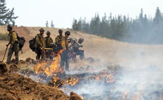 Bomberos detenidos por la Patrulla Fronteriza mientras apagaban incendio en Washington