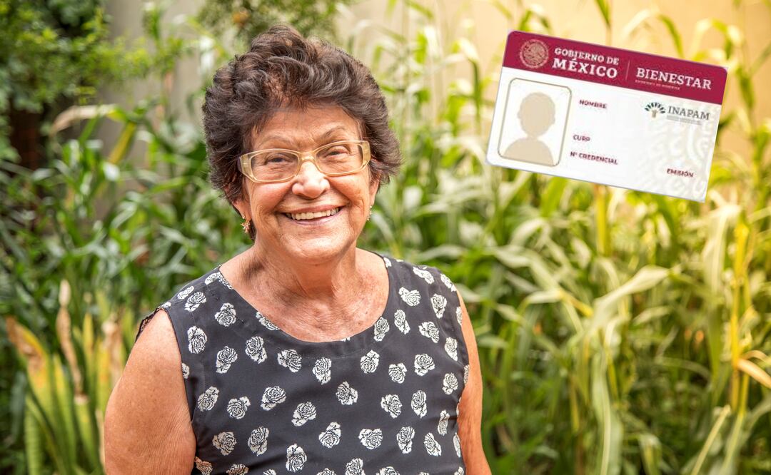 INAPAM: módulos y requisitos actualizados. ¿La CURP biométrica es necesaria para el registro? Foto: iStock