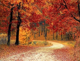 ¿Cuándo inicia y termina el otoño 2021?