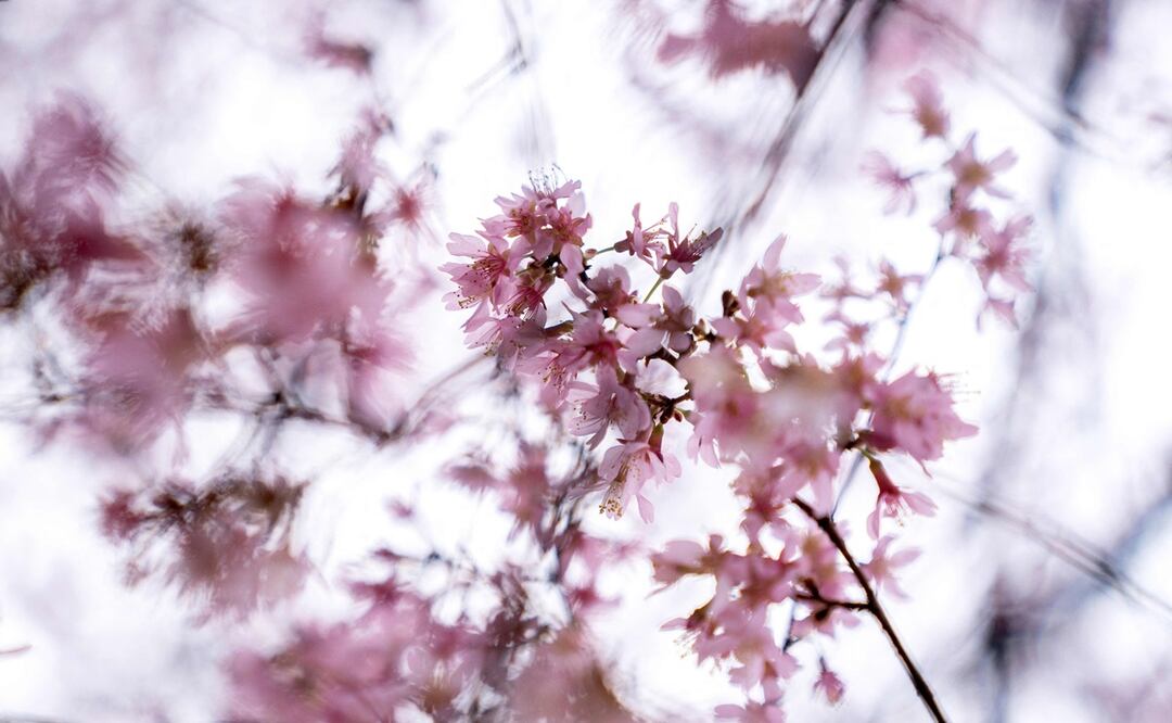 (Photo by Stefani Reynolds / AFP)