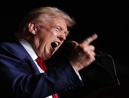 Haitianos en EU exigen a Trump que pare de decir mentiras sobre que comen perros y gatos