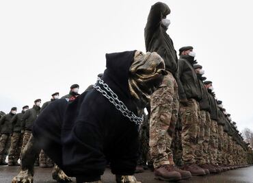 La OTAN refuerza sus contingentes de tropas en Estonia y Lituania