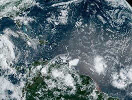 Huracán Beryl se fortalece a categoría 4 en el Caribe. “Es extremadamente peligroso”: NHC