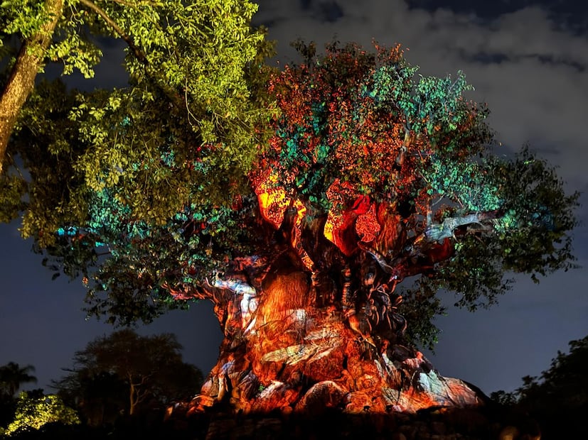 Walt Disney World Resort.