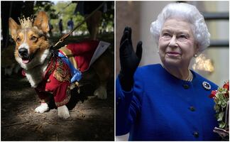 Perros corgis y fans rinden homenaje a la reina Isabel II en el primer aniversario de su muerte