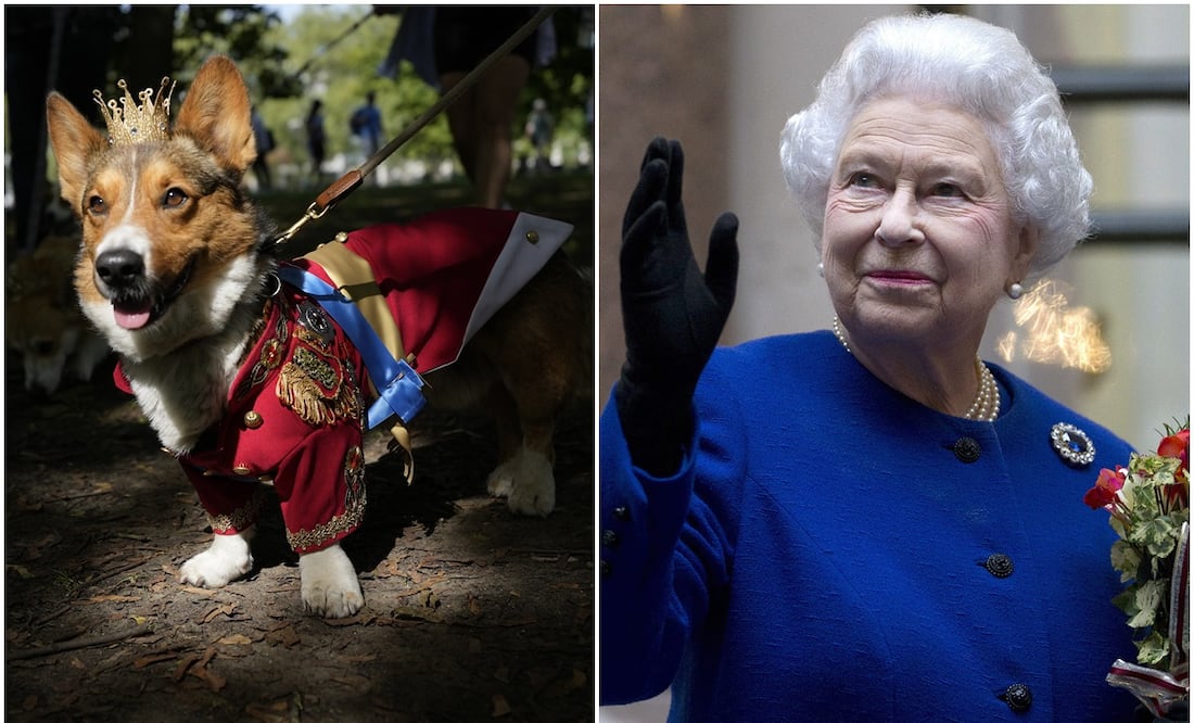Perros corgi y fanáticos rinden homenaje a la reina Isabel II en el primer aniversario de su muerte. Foto: AP