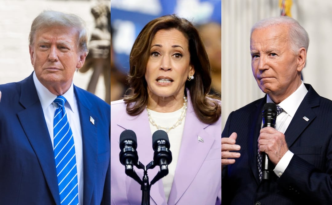 Trump intenta dividir a demócratas antes de la Convención Nacional: "Biden odia a Harris". Foto: EFE