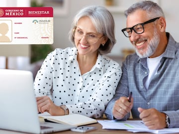 INAPAM. ¿A partir de qué edad se debe tramitar, según la Secretaría del Bienestar? Requisitos