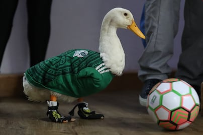 Pato Merlín rechaza invitación de Salinas Pliego y asistirá al México vs Chequia con Televisa