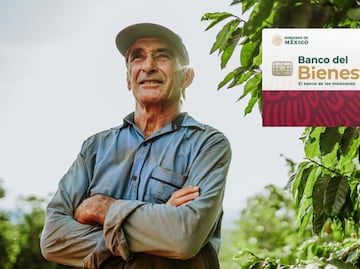 ¡Los últimos! ¿Qué letras reciben la Pensión Bienestar para adultos mayores del 22 al 26 de enero?