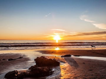 Las 5 principales atracciones para disfrutar en Santa Bárbara, California