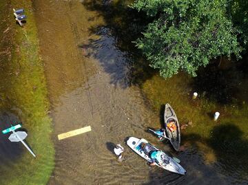 Big Bend, el 'último' tesoro natural de Florida, en el centro del huracán Idalia
