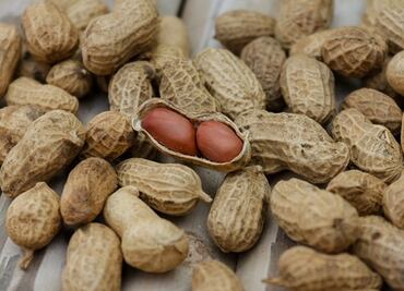 Comer cacahuates desde bebés disminuiría riesgo de alergia
