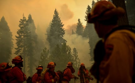 Vinculan aumento de casos de covid en EU con humo de incendios forestales 