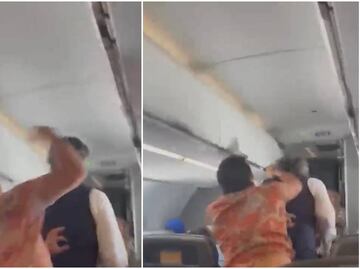 Video. Arrestan a pasajero por golpear a asistente de vuelo en viaje de Los Cabos a LA