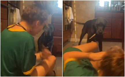 Video. Perro reacciona a alerta falsa de asfixia de su dueña