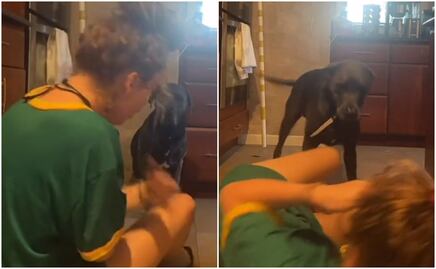 Video. Perro reacciona a alerta falsa de asfixia de su dueña